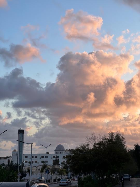 Kaouther Hechad