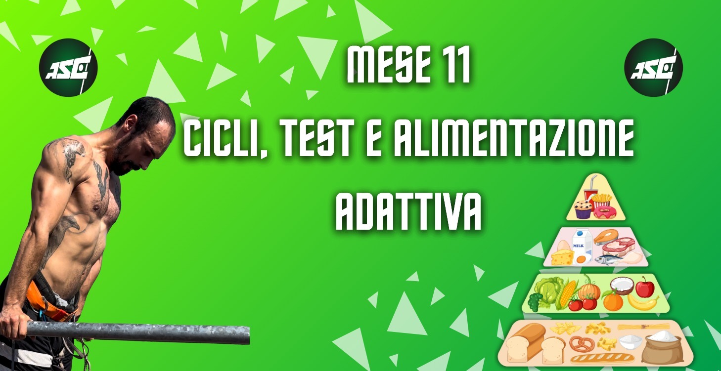 Mese 11 – Cicli, Test e Alimentazione Adattiva