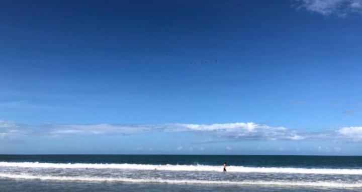 Priscilla Vargas Group