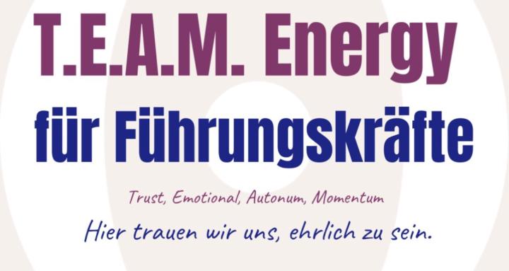 TEAM Energie 4 Führungskräfte 