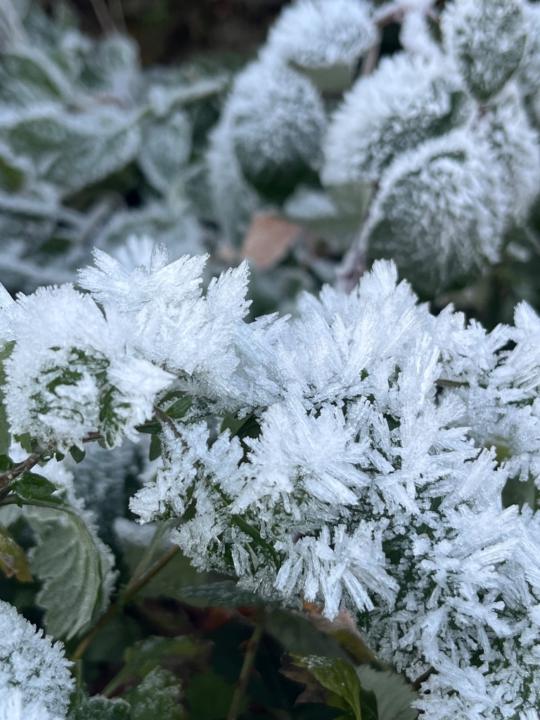 Anne Hilgendorf-Ninnig