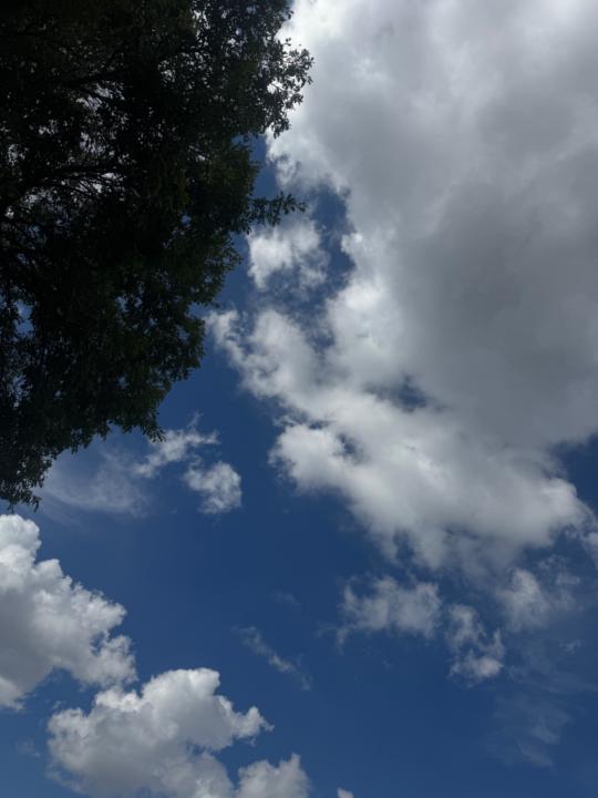 Чинбат Баатарчулуун