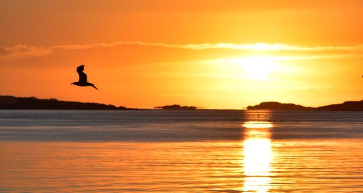 The Energy of Ascension 