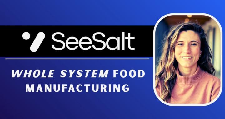 SeeSalt - Food Vendor Systems