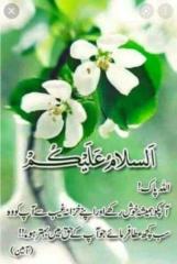 Amtul Akbar