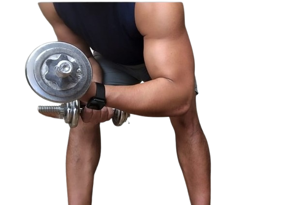 Sistema Fitness