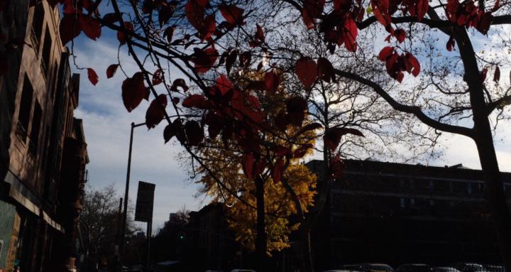 BrainBodyAffirmations