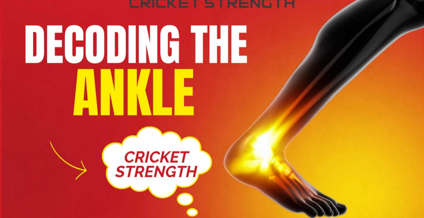 Decoding the Ankle