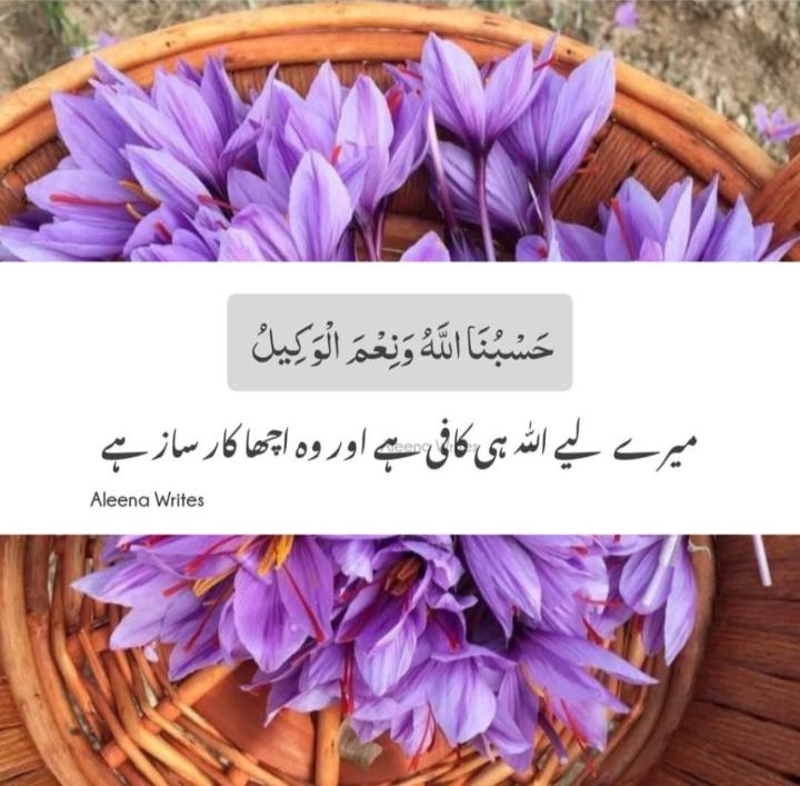 Zain Abdullah