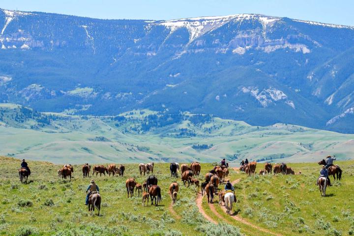WYOMING