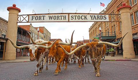 TEXAS
