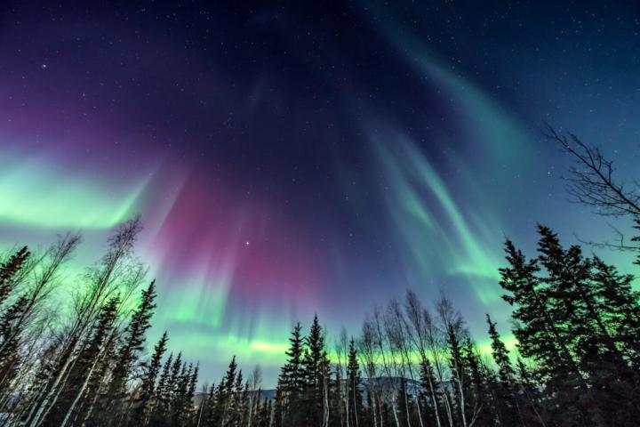 ALASKA