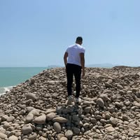 Alexander Dioses Cardenas