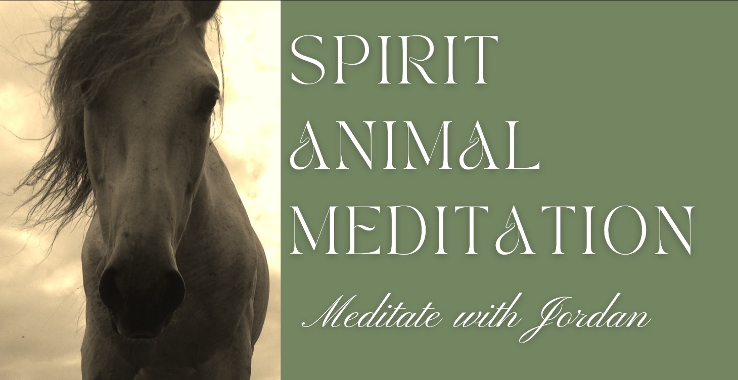 Spirit Animal Meditation