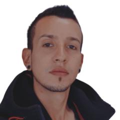 Julian E Villegas M