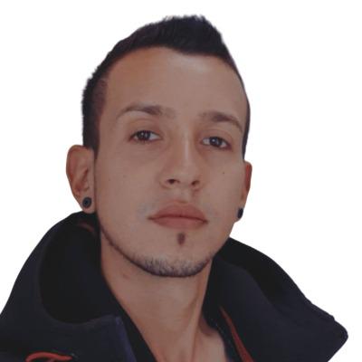 Julian E Villegas M