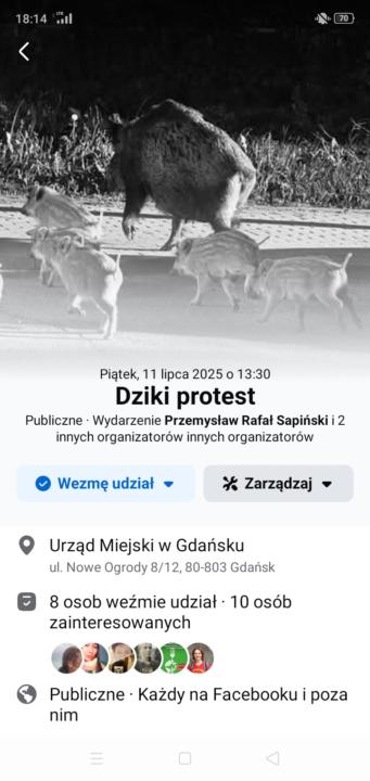 Protest w obronie dzików 