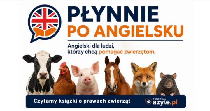 Płynnie Po Angielsku