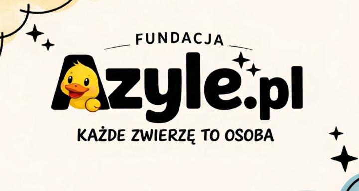 Społeczność Fundacji Azyle.pl