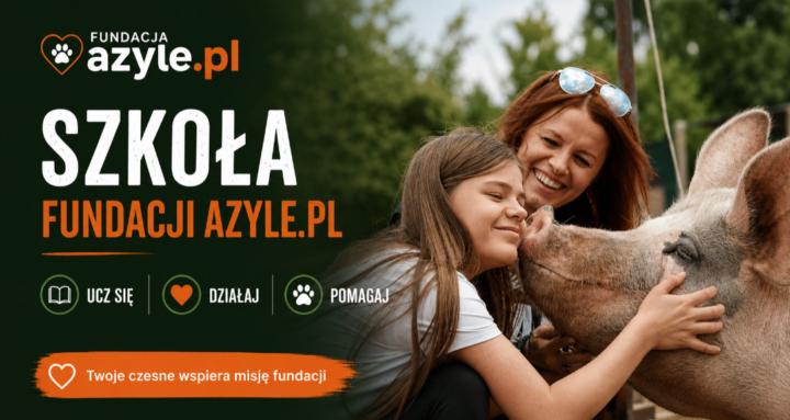Szkoła Fundacji Azyle.pl