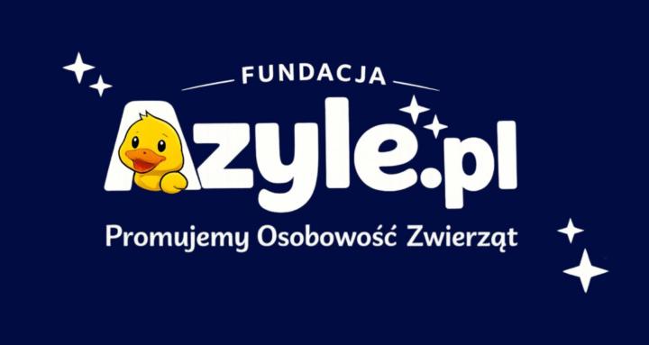Społeczność Fundacji Azyle.pl