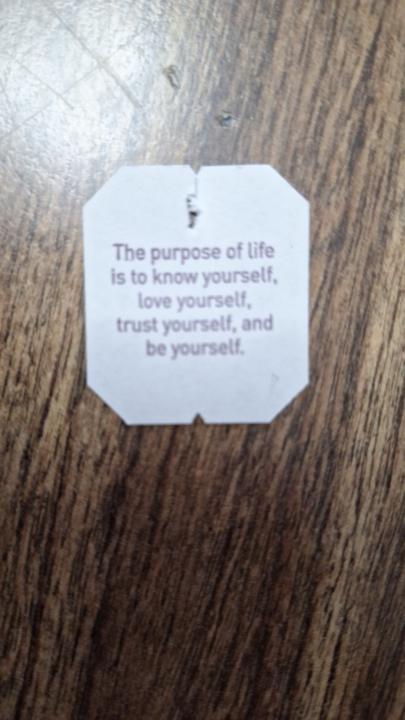 The Purpose of Life