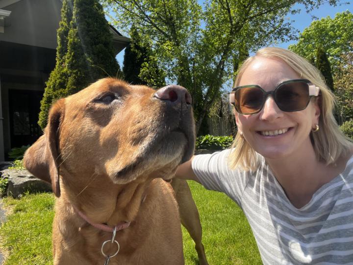 Pausing with pets