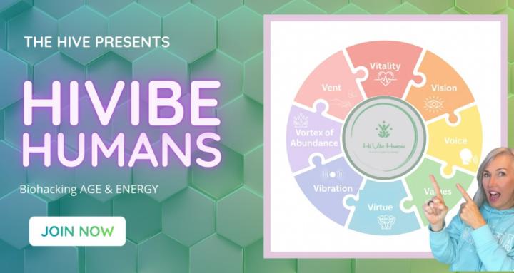 HiVIBE Humans