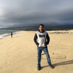 Navin Bhaskar