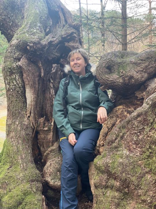 Elisabeth D. Handegård