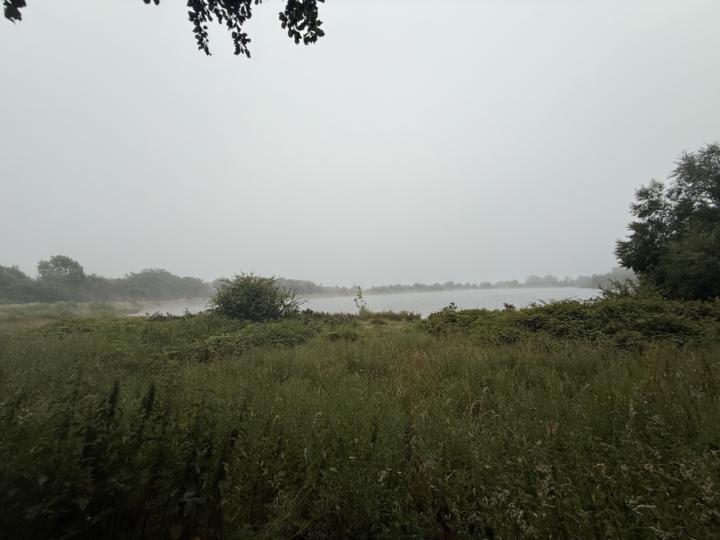 6 am walk 7th July