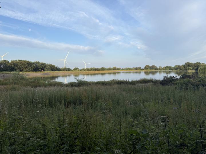Another 6 am walk around the pond