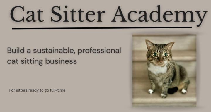 Cat Sitter Academy