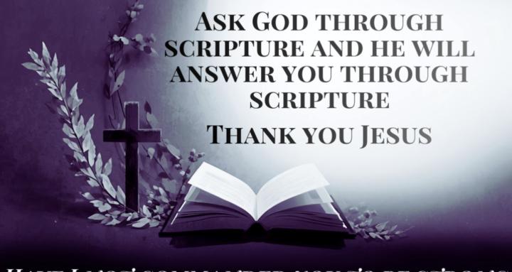 Women Study the Bible Together