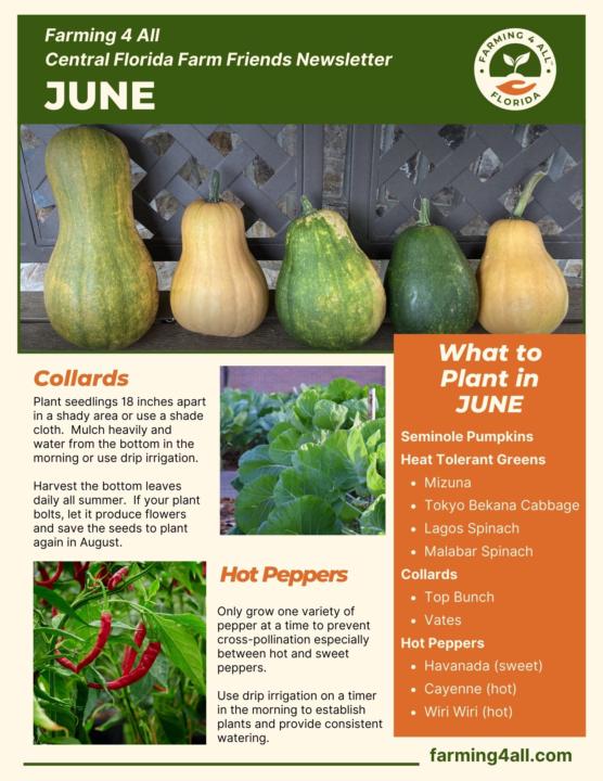 June Newsletter