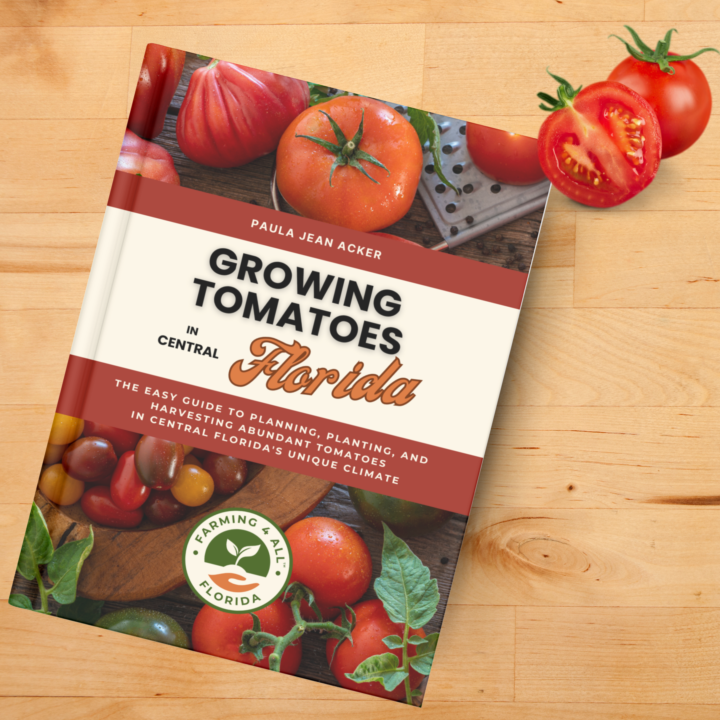 Growing Tomatoes in Central Florida