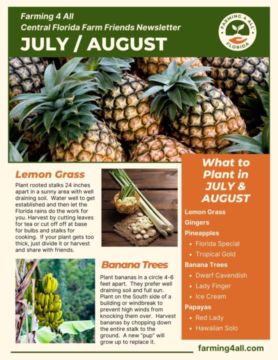 July / August Newsletter