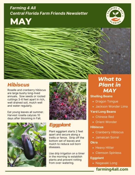 May Newsletter