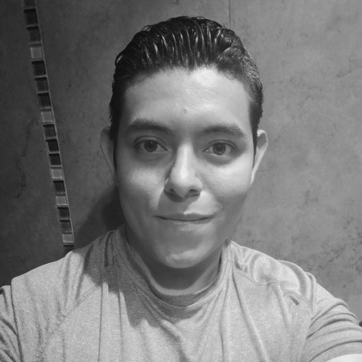 Luis Ignacio Villalobos De Los Santos