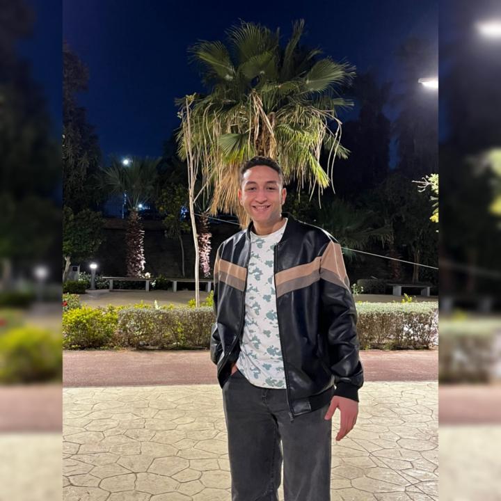 Mohamed Ibrahim
