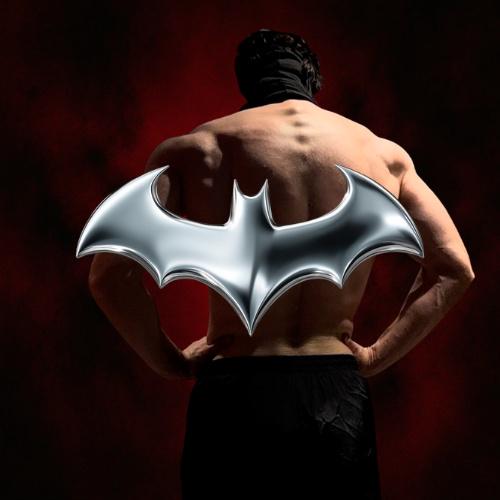 Bat Physique