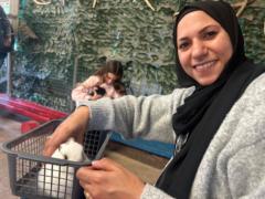 Marwa Azab