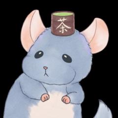 Zun T
