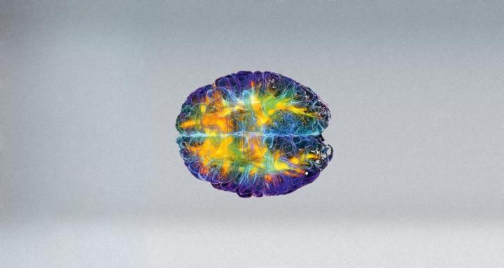 The Brain Guy Community