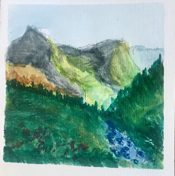 Mountain Medow meadow