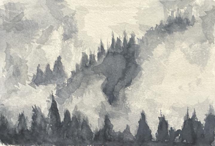 Hi everyone, here’s my first post.