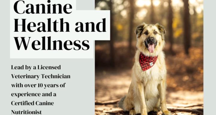 Canine Nutrition and Wellness