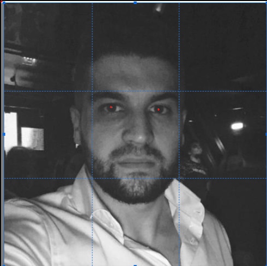 Andrei Rotaru