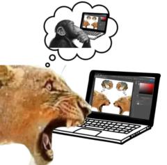 Doshyant Raj Thiruchelvan