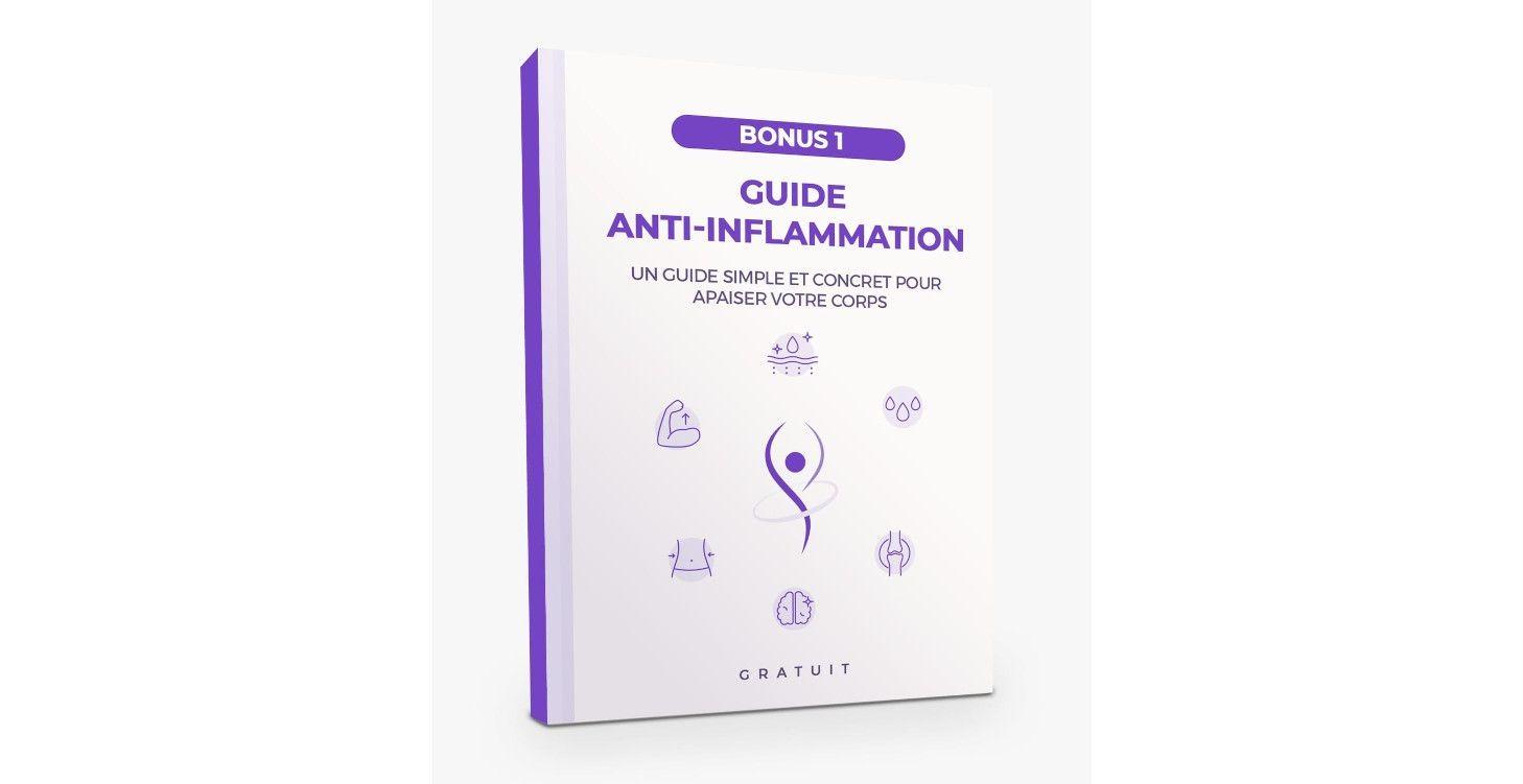 Guide anti-inflammation